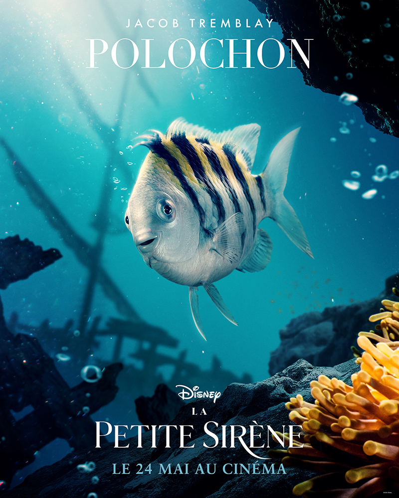 Polochon a bien changé - La Petite Sirène (2023)