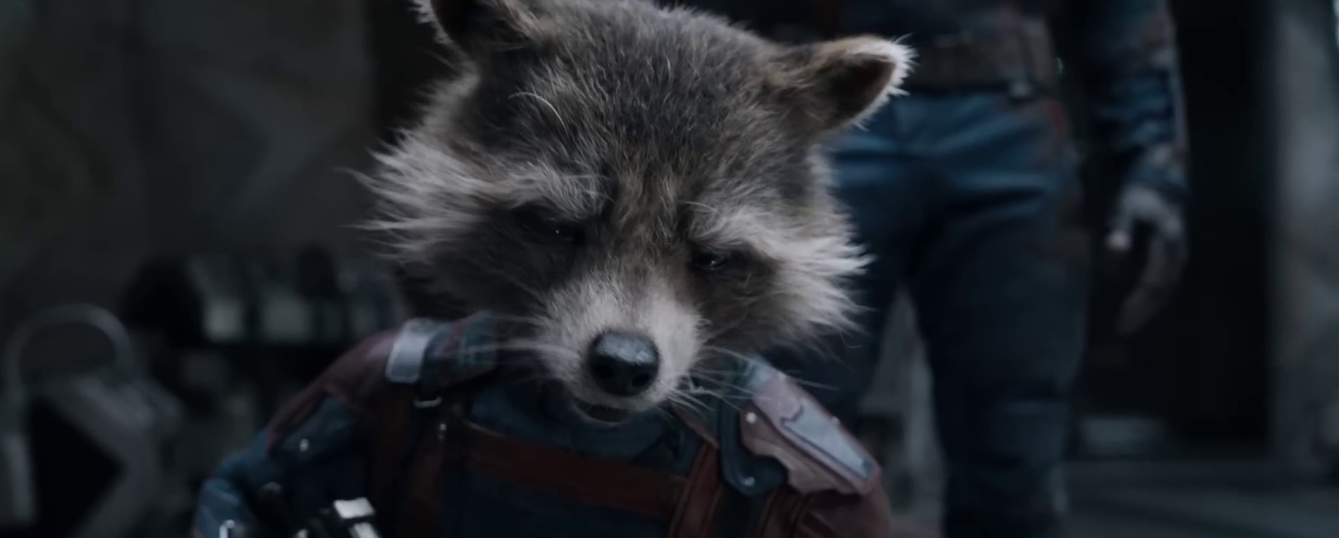 Rocket - Les Gardiens de la Galaxie 3 ©Marvel