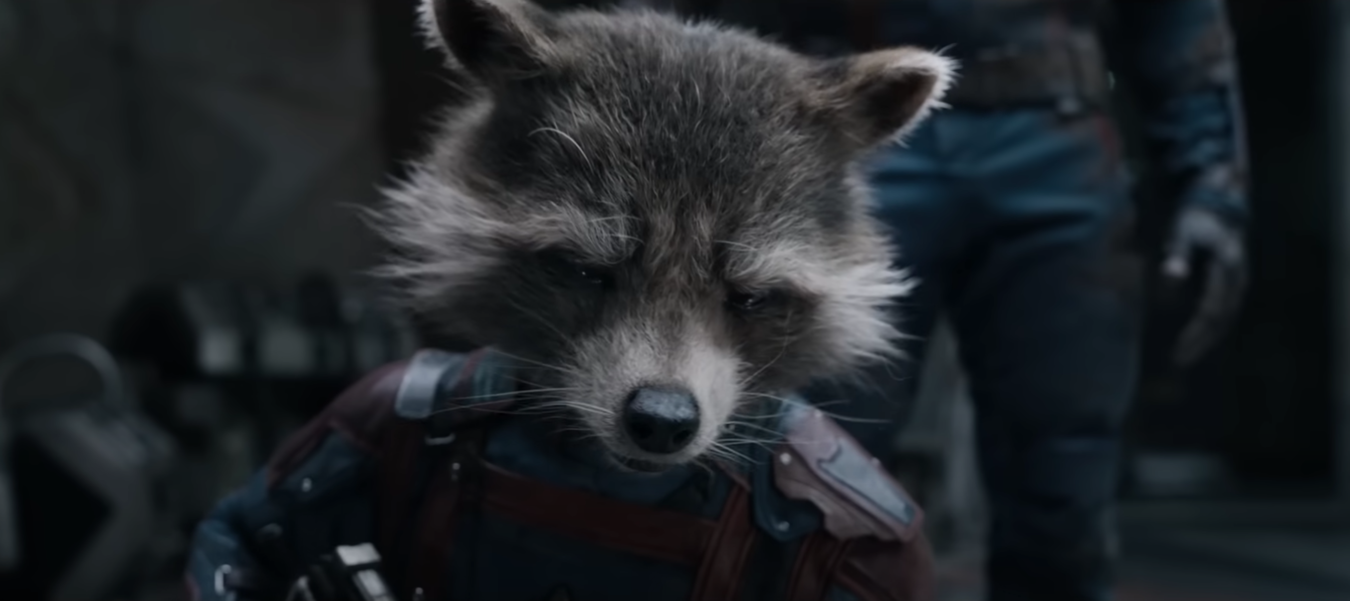 Rocket Raccoon (Bradley Cooper) - Les Gardiens de la Galaxie Volume 3