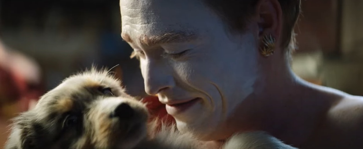 Caleb Landry Jones - Dogman ©Apollo Films