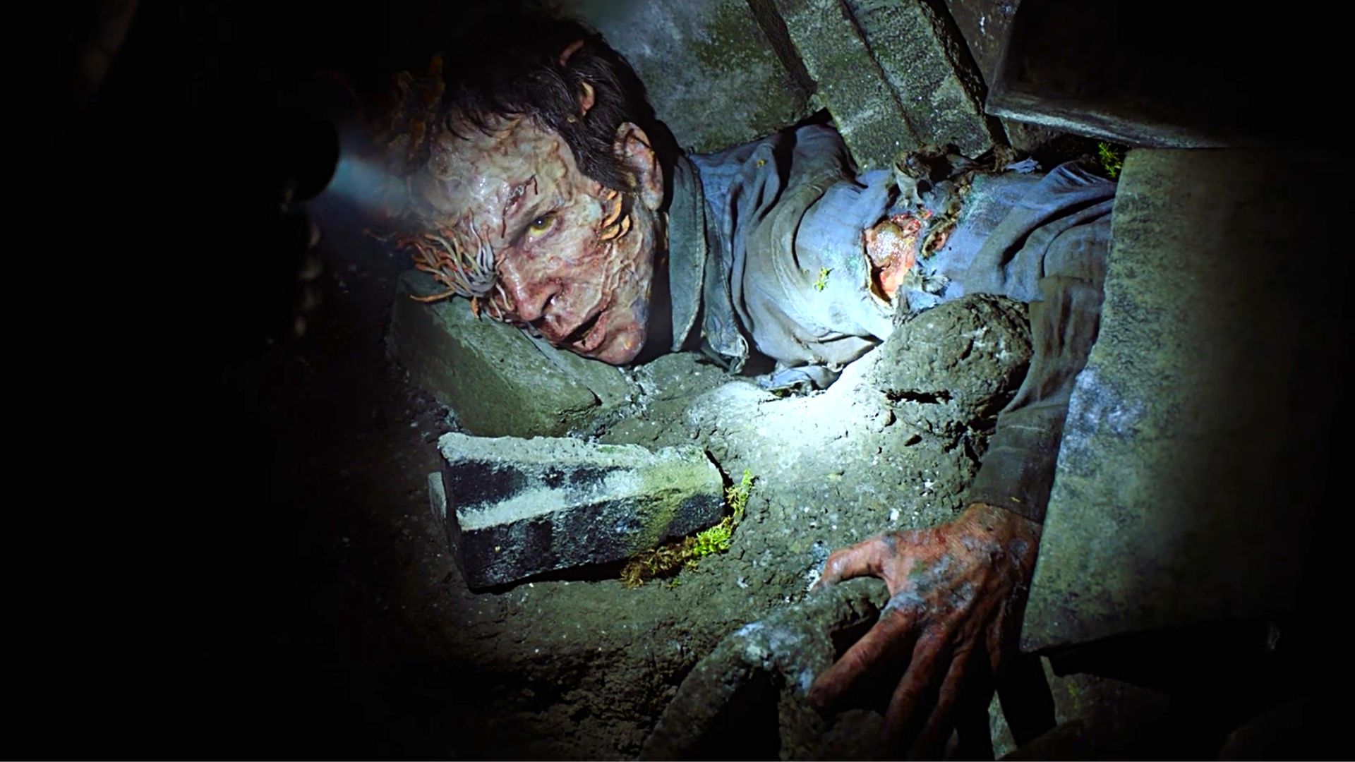 The Last of Us ©HBO