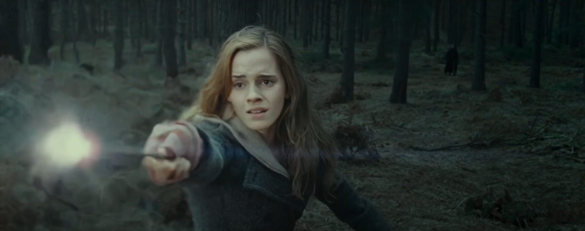 Harry Potter et les Reliques de la Mort - partie 1