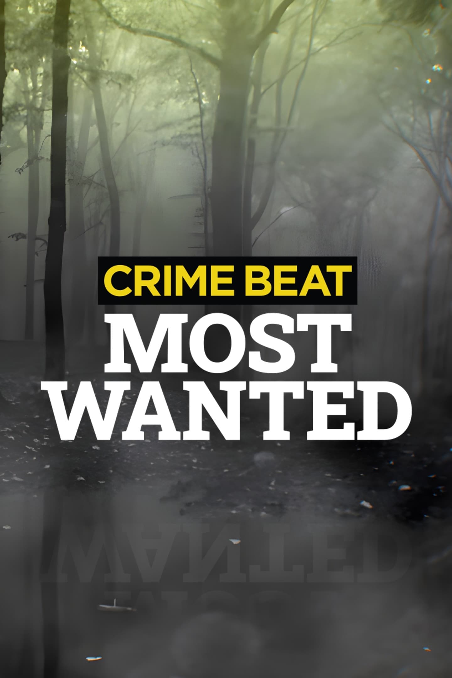 Crime Beat: Most Wanted (2023, Série, 1 Saison) — CinéSérie