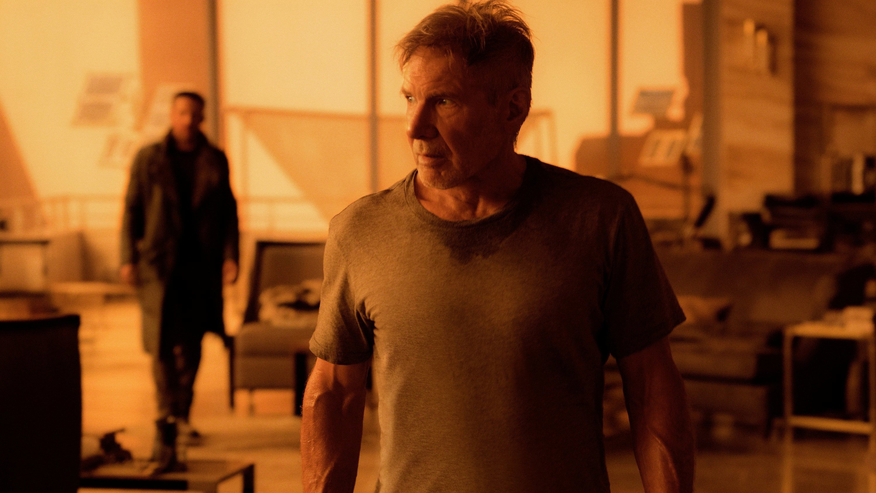 Harrison Ford - Blade Runner 2049 ©Sony Pictures Releasing France