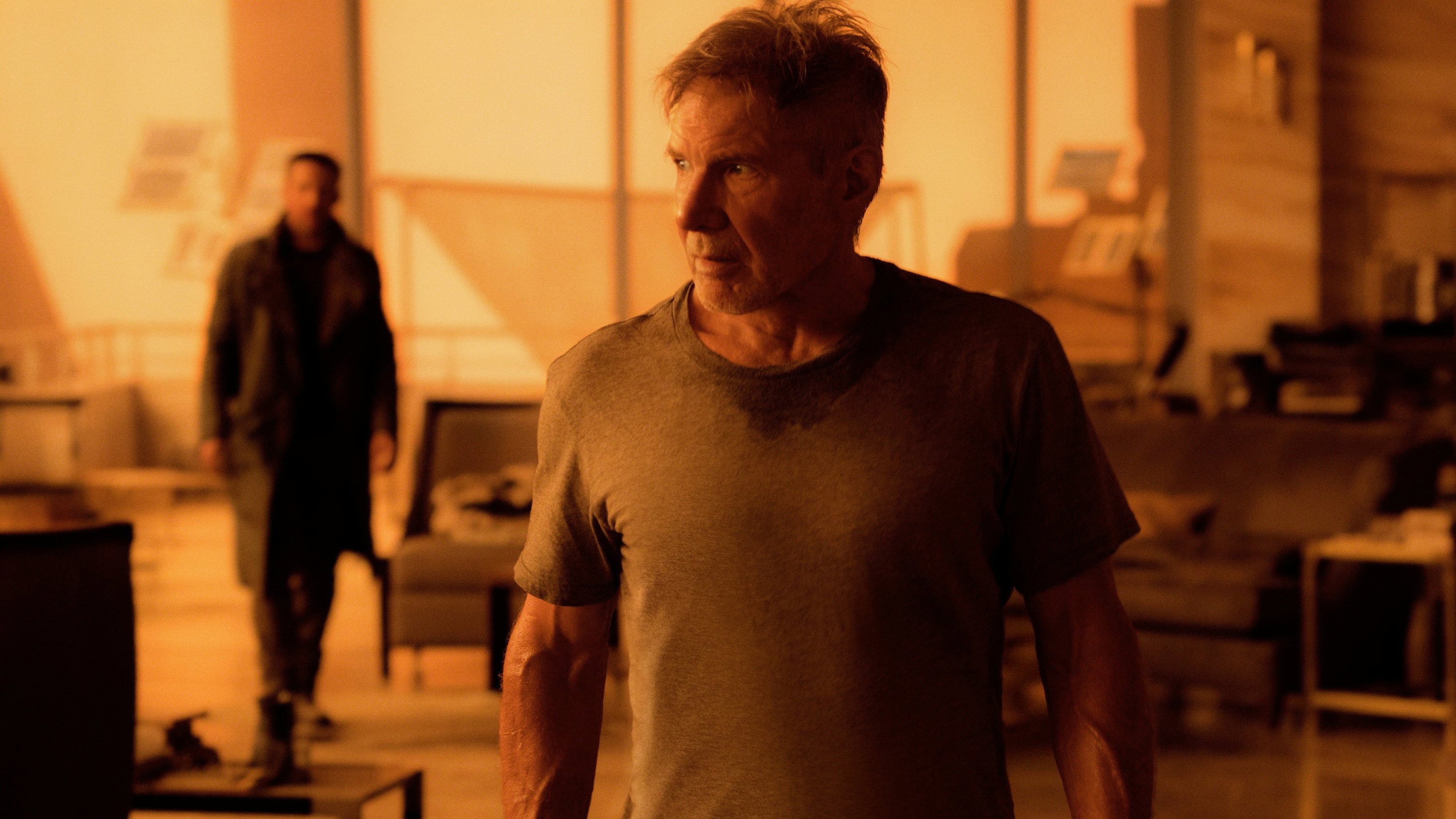 Harrison Ford - Blade Runner 2049 ©Sony Pictures Releasing France