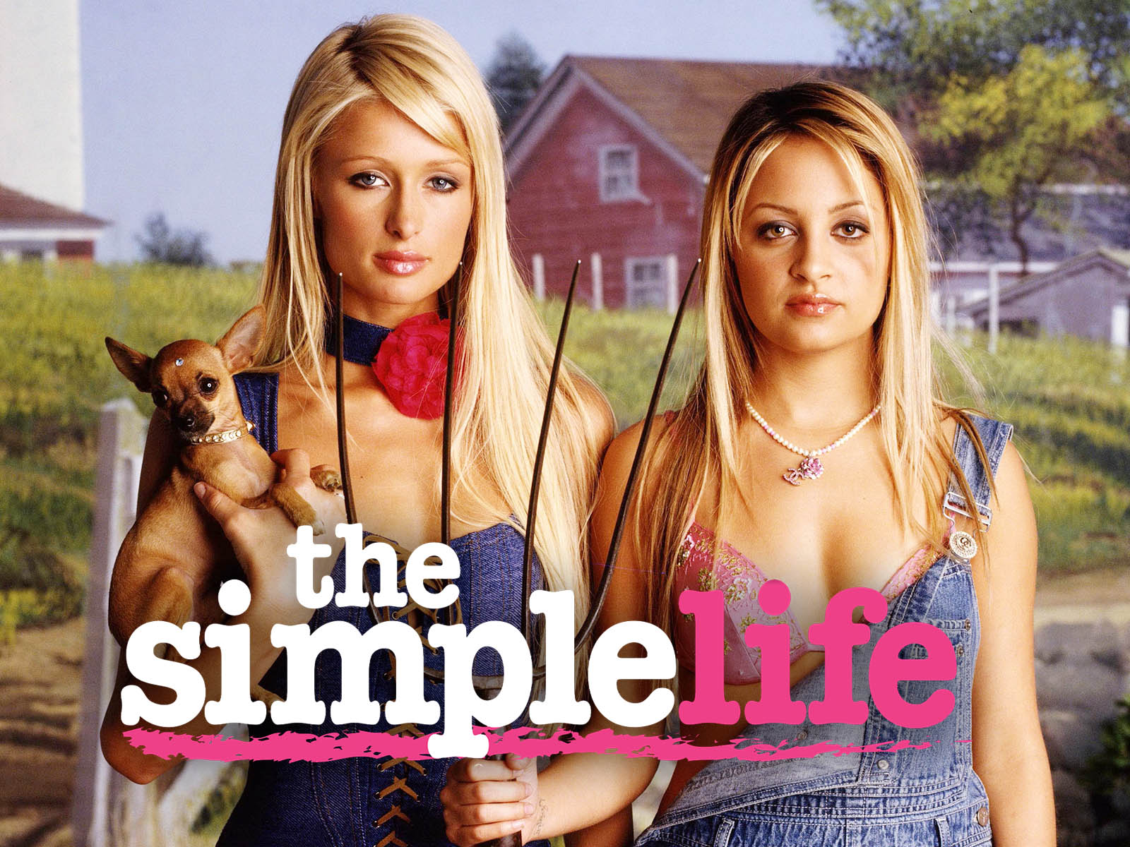 The Simple Life