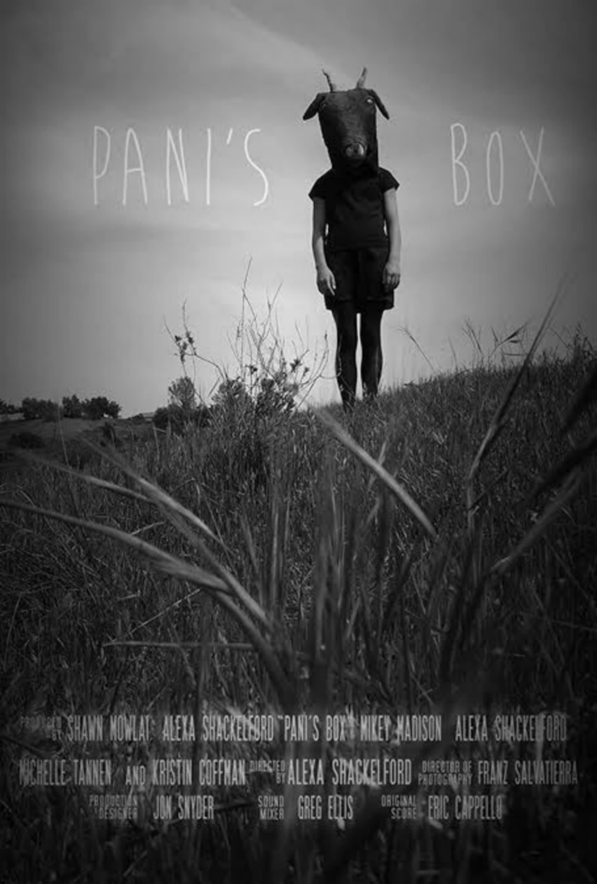 Pani's Box (Film, 2013) — CinéSérie