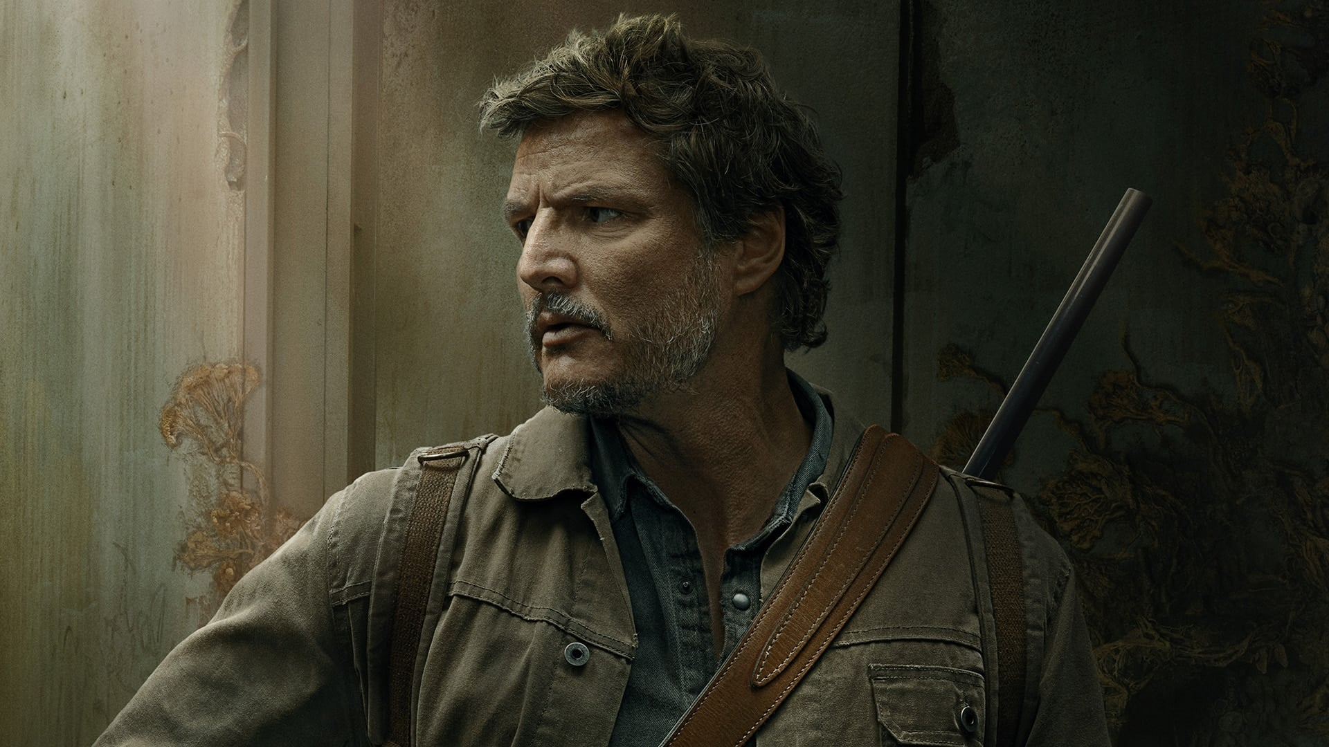 Joel (Pedro Pascal) - The Last of Us