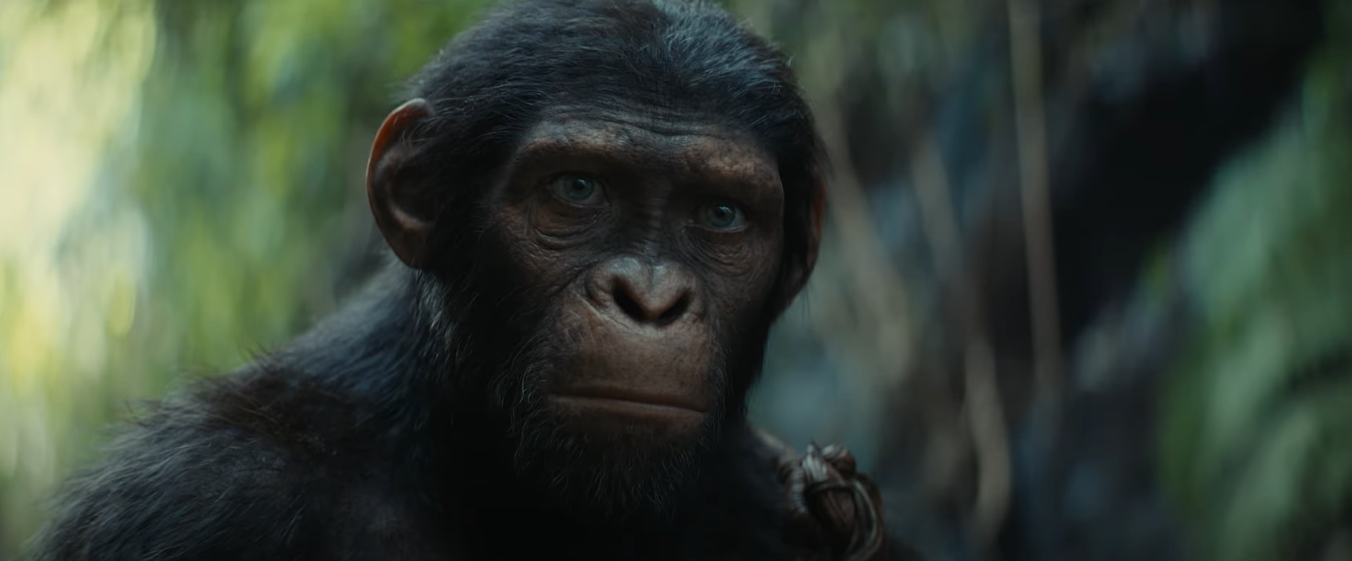 La Planète des singes 4 ©Disney