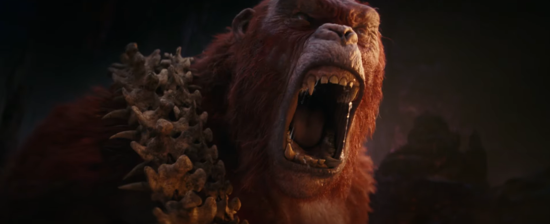 Godzilla x Kong ©Warner Bros.