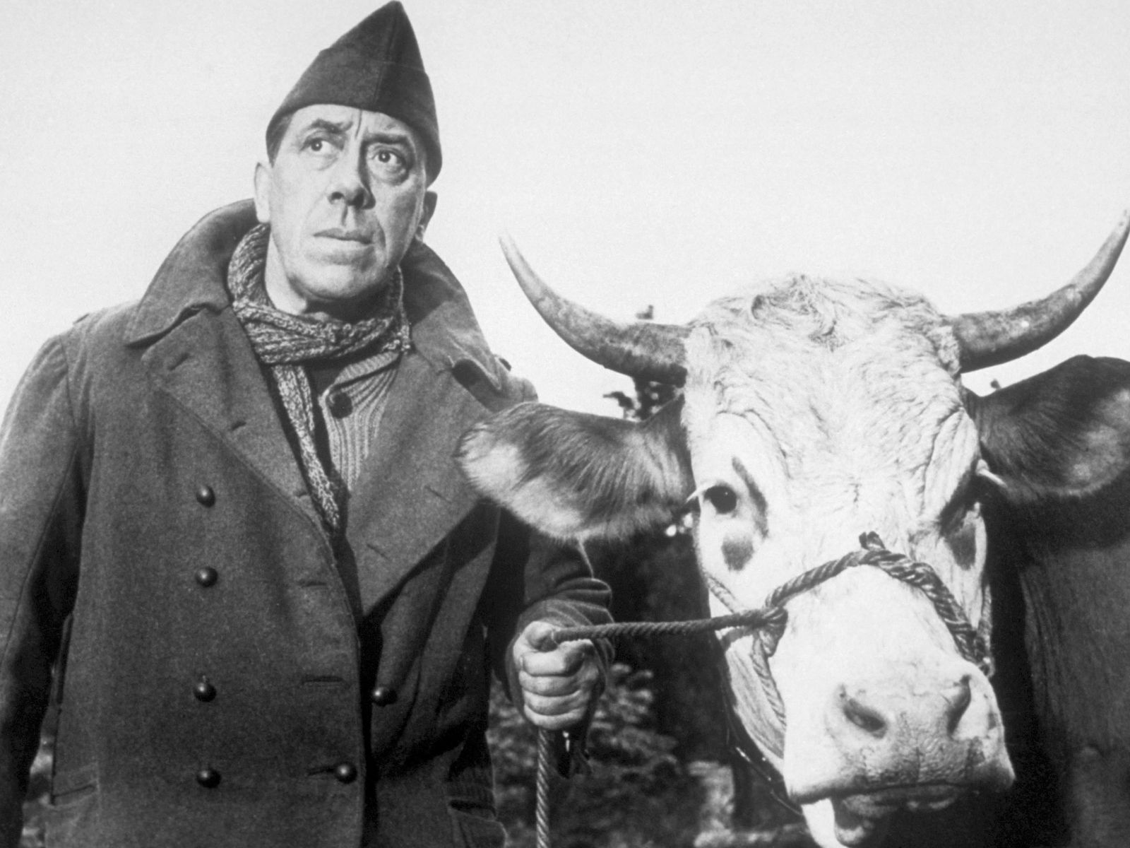 La Vache et le prisonnier : comment la vache du film a été sauvée de l