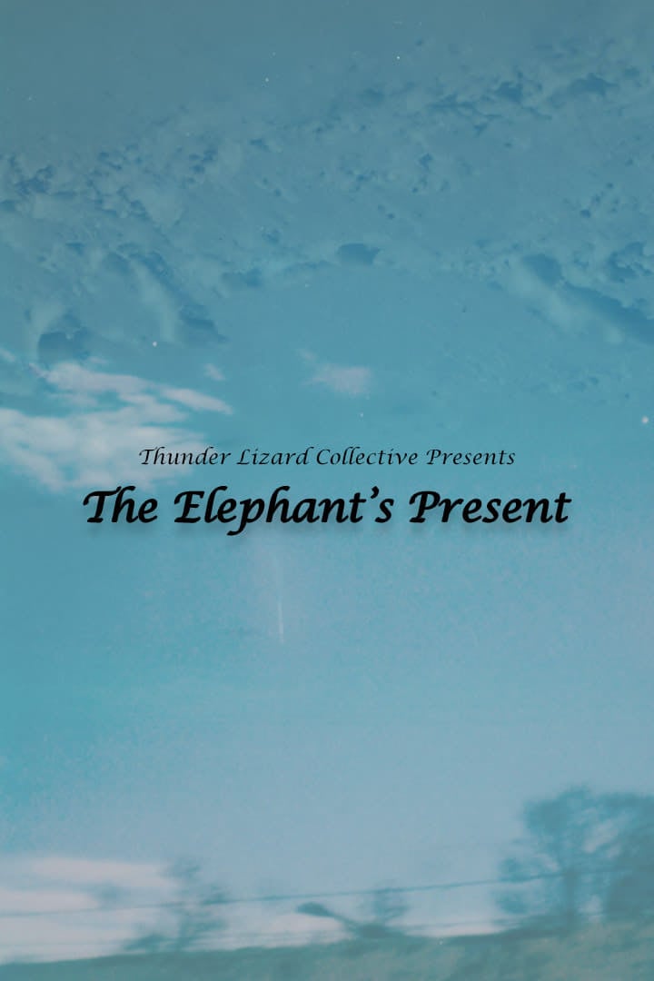 The Elephant S Present Film 2024 Cin S Rie   3837010 