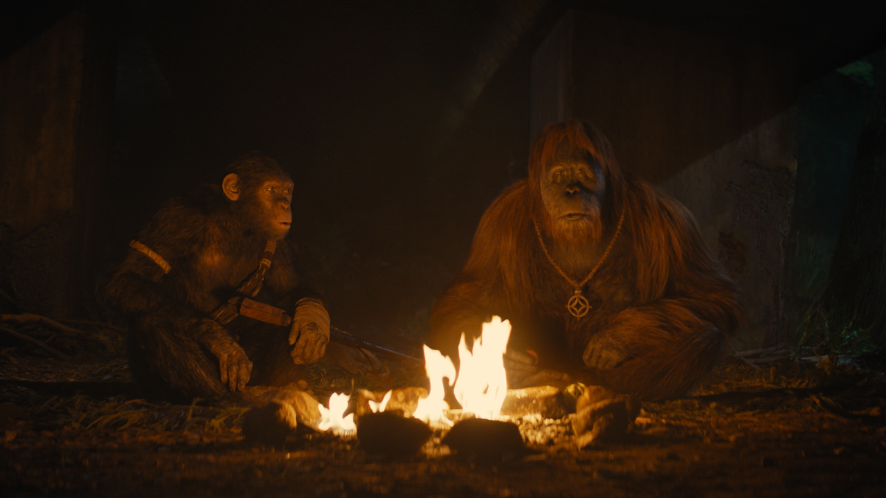 La Planète des Singes - Le Nouveau Royaume