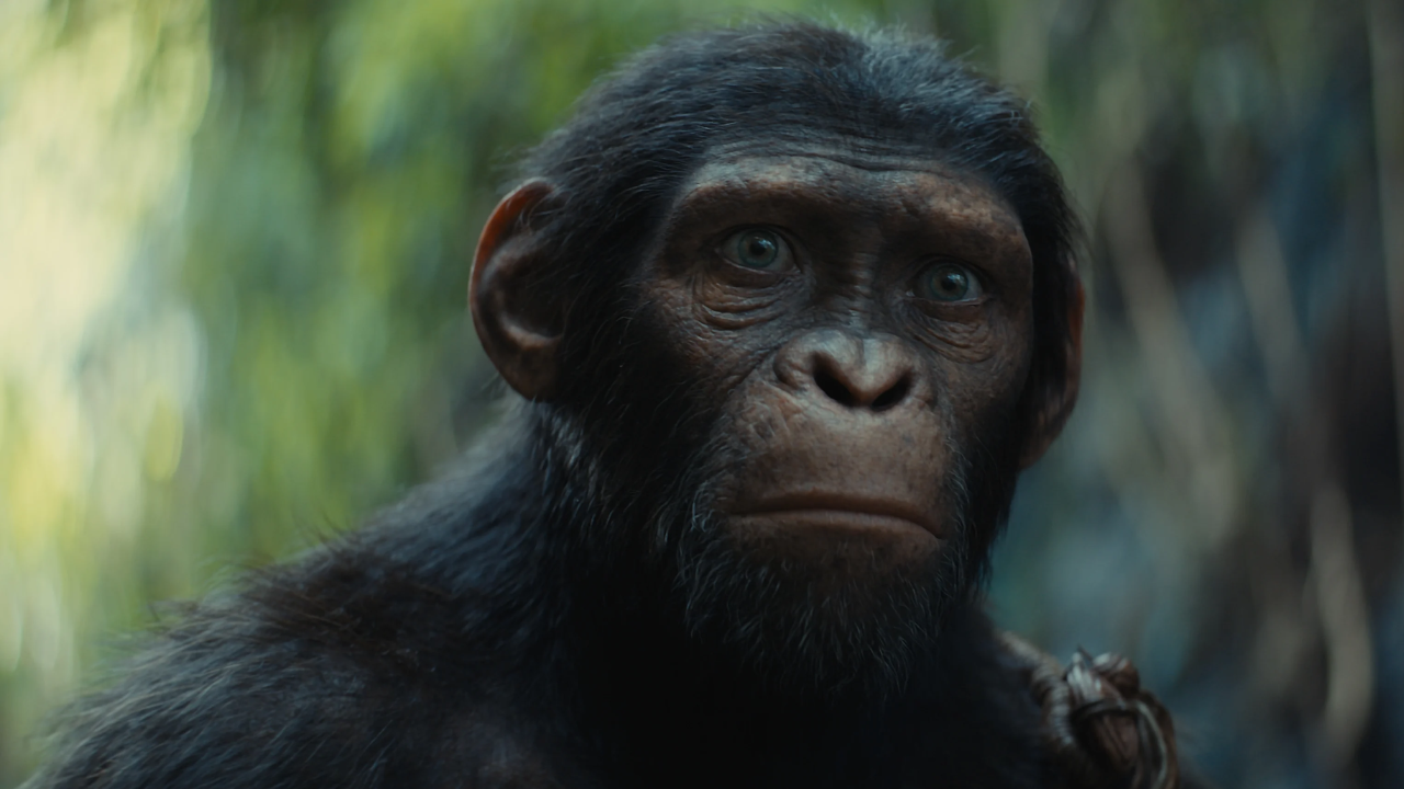 Noa (Owen Teague) - La Planète des singes - Le Nouveau Royaume