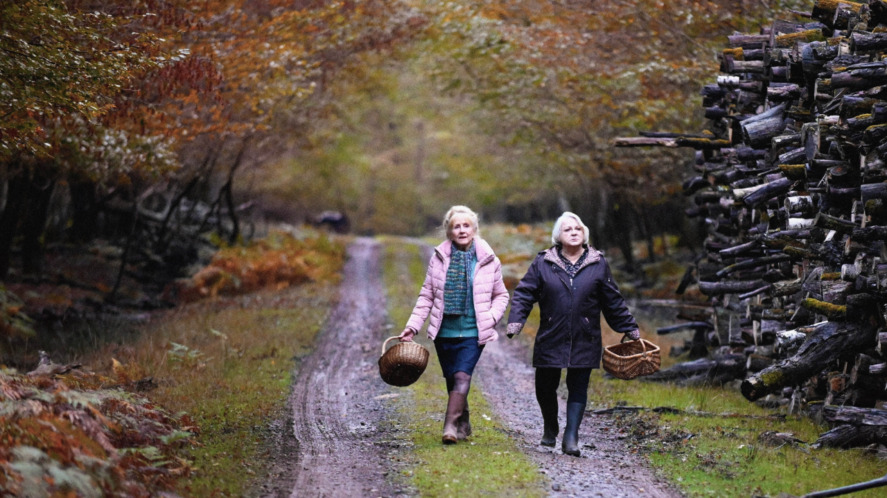 Quand vient l'automne