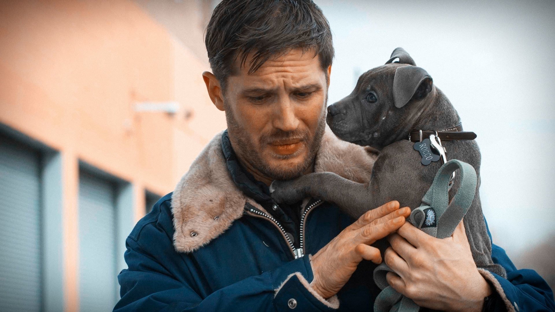 Tom Hardy - Quand vient la nuit ©Fox Searchlight Pictures