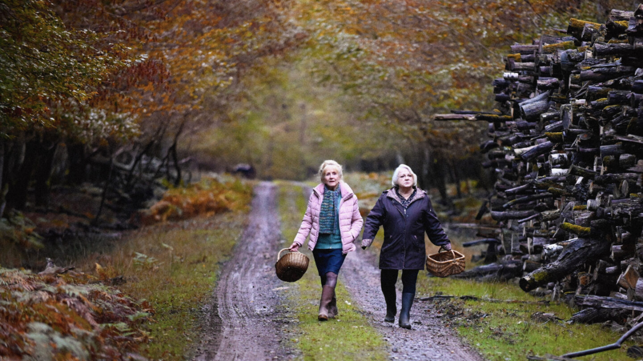 Quand vient l'automne