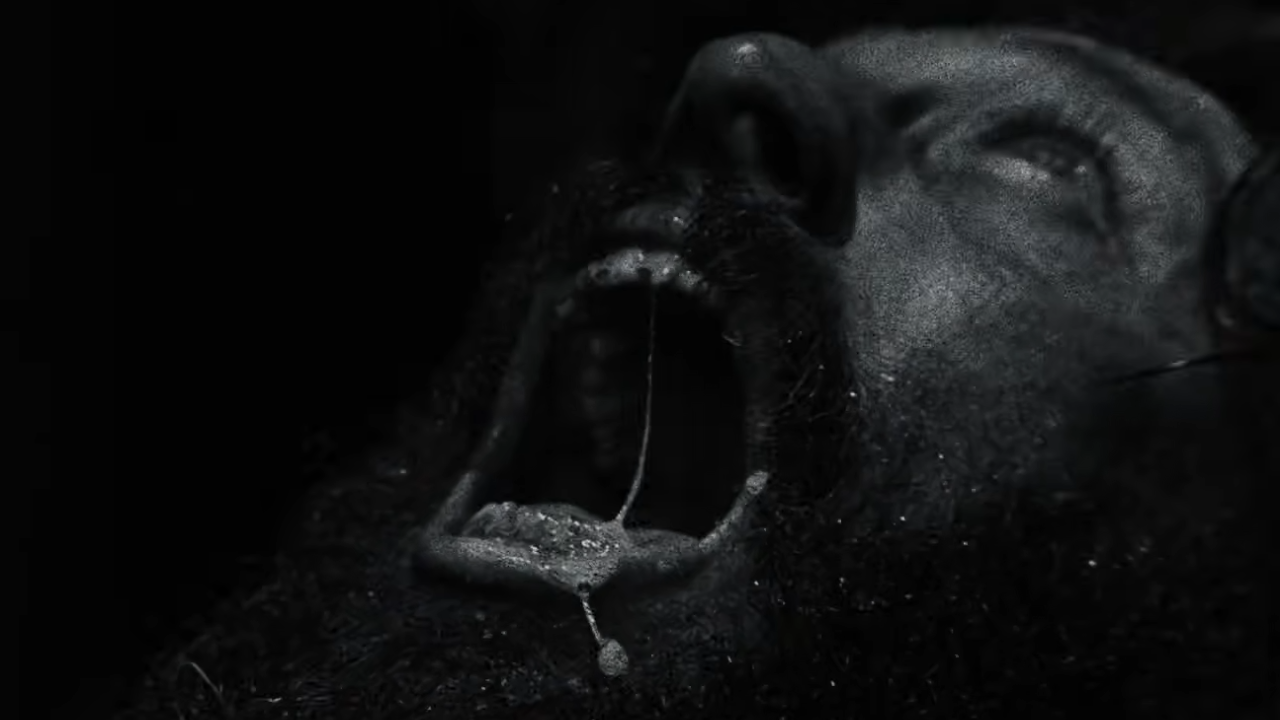 Werwulf : une première bande-annonce aussi sauvage qu'hypnotique
